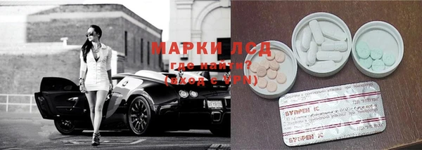 шишки Абинск