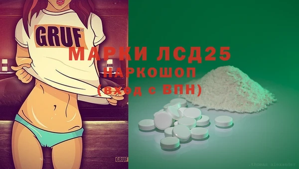 гидра Абаза