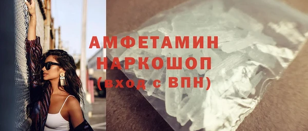 гидра Абаза
