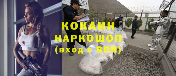 гидра Абаза