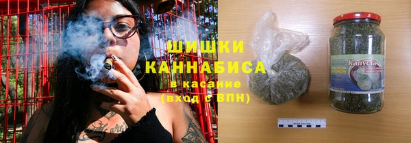 стаф Магас