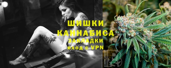 гидра Абаза