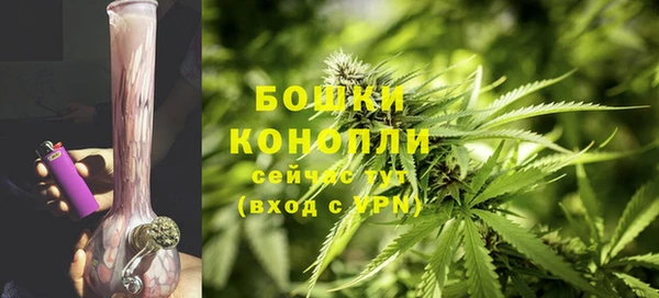 стаф Магас