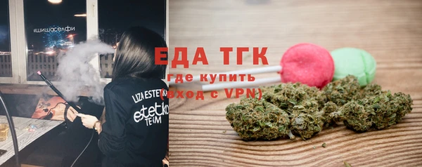 гидра Абаза