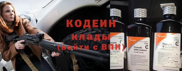 гидра Абаза