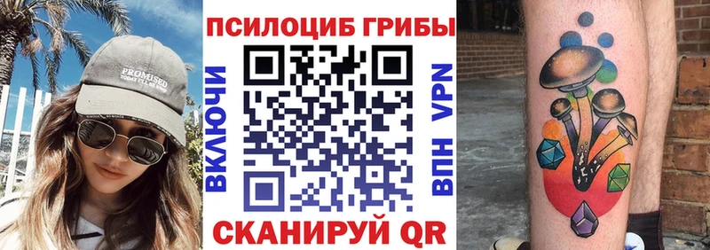 где можно купить наркотик  Щучье  Псилоцибиновые грибы Cubensis 
